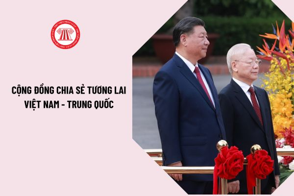 Cộng đồng là gì? khám phá ý nghĩa, vai trò và các loại hình cộng đồng trong xã hội