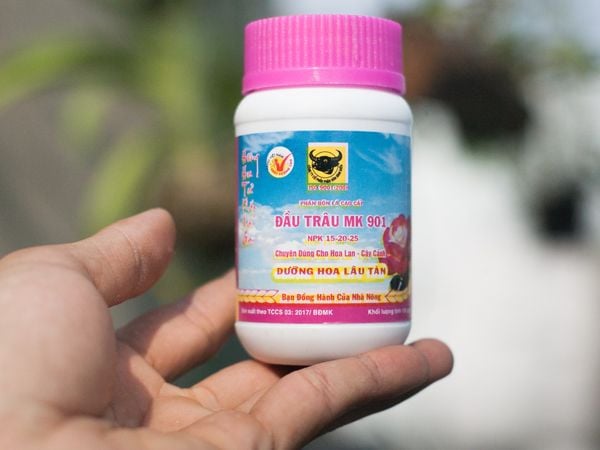 Phân bón Đầu trâu mk 901 - giải pháp tốt nhất cho cây hoa lan và cây cảnh