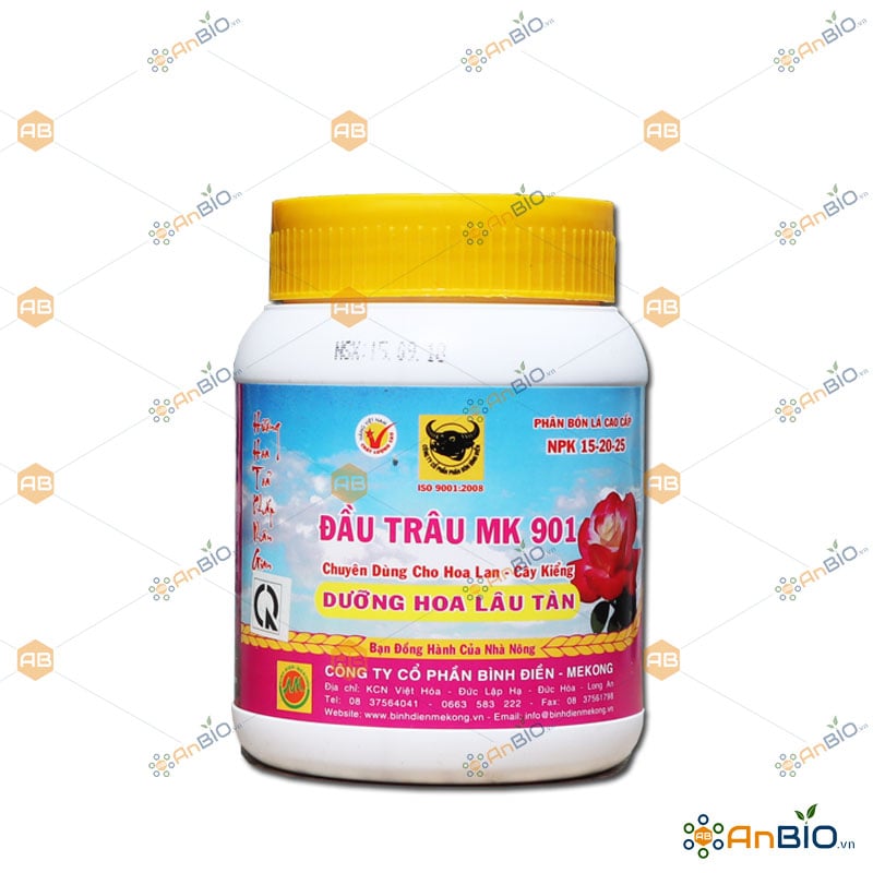 ĐẦu trÂu mk