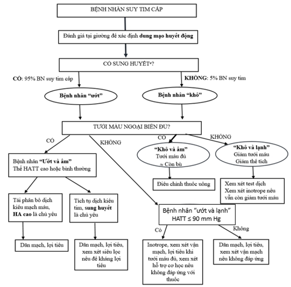 Phác đồ chẩn đoán và xử trí suy tim cấp