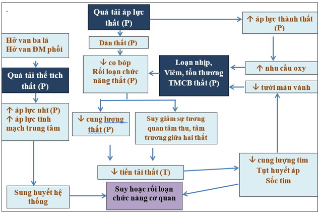 Cập nhật chẩn đoán và điều trị suy thất phải cấp tính contemporary management of acute rightventricular failure