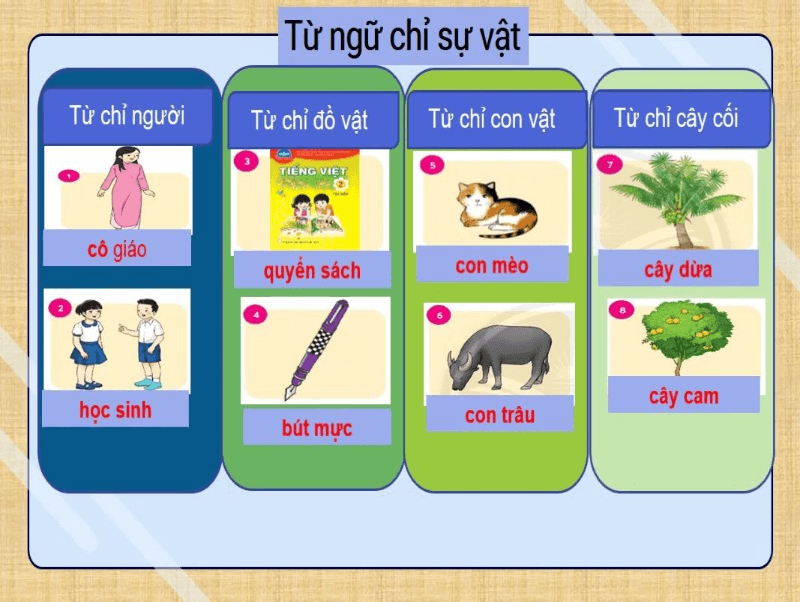 Từ chỉ sự vật là gì