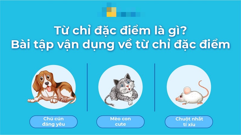 Tiếng việt lớp  từ chỉ đặc điểm là gì