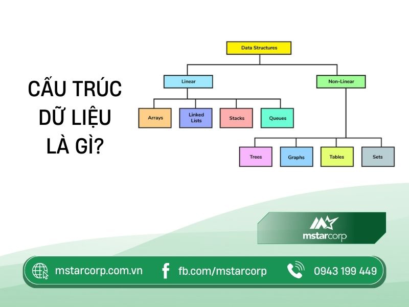 Cấu trúc dữ liệu định nghĩa  loại kiểu data structure cần biết